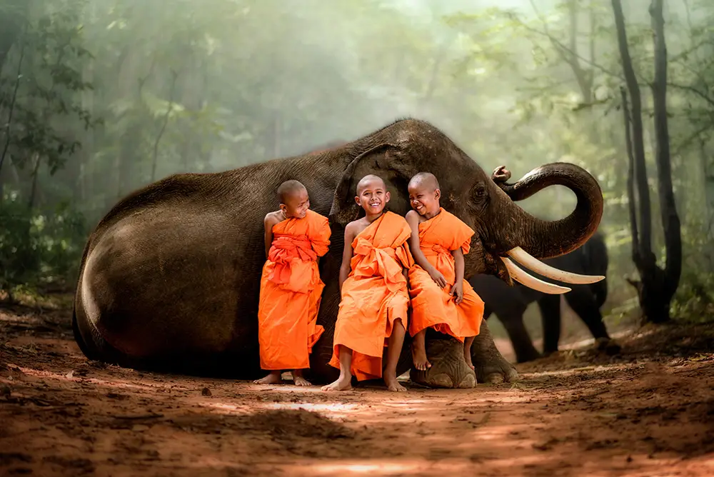 Novice monks Thailand