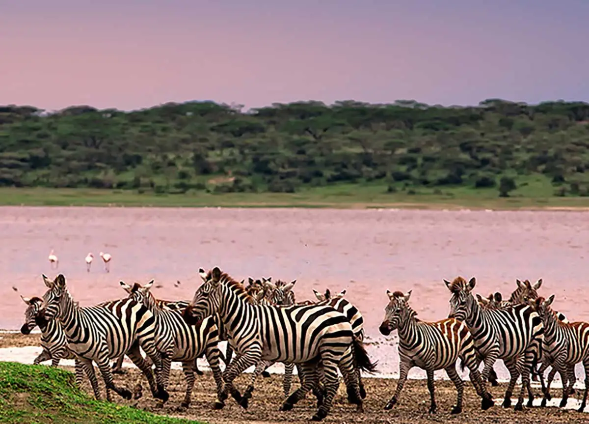 Tanzania