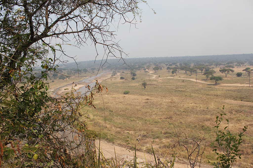 Safari in Tanzania