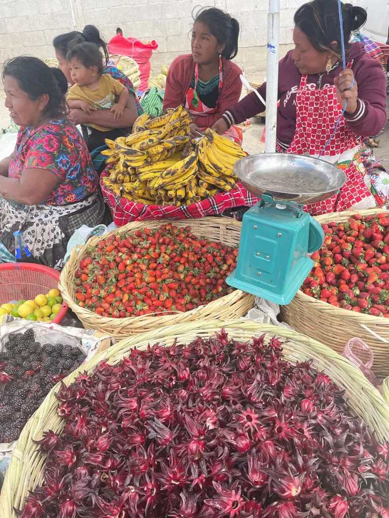 Fresh bananas, strawberries, and hibiscus flower at Antigua’s central market