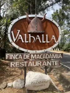 Macadamia Farm