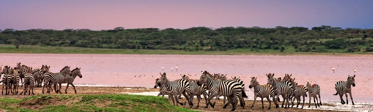 Tanzania